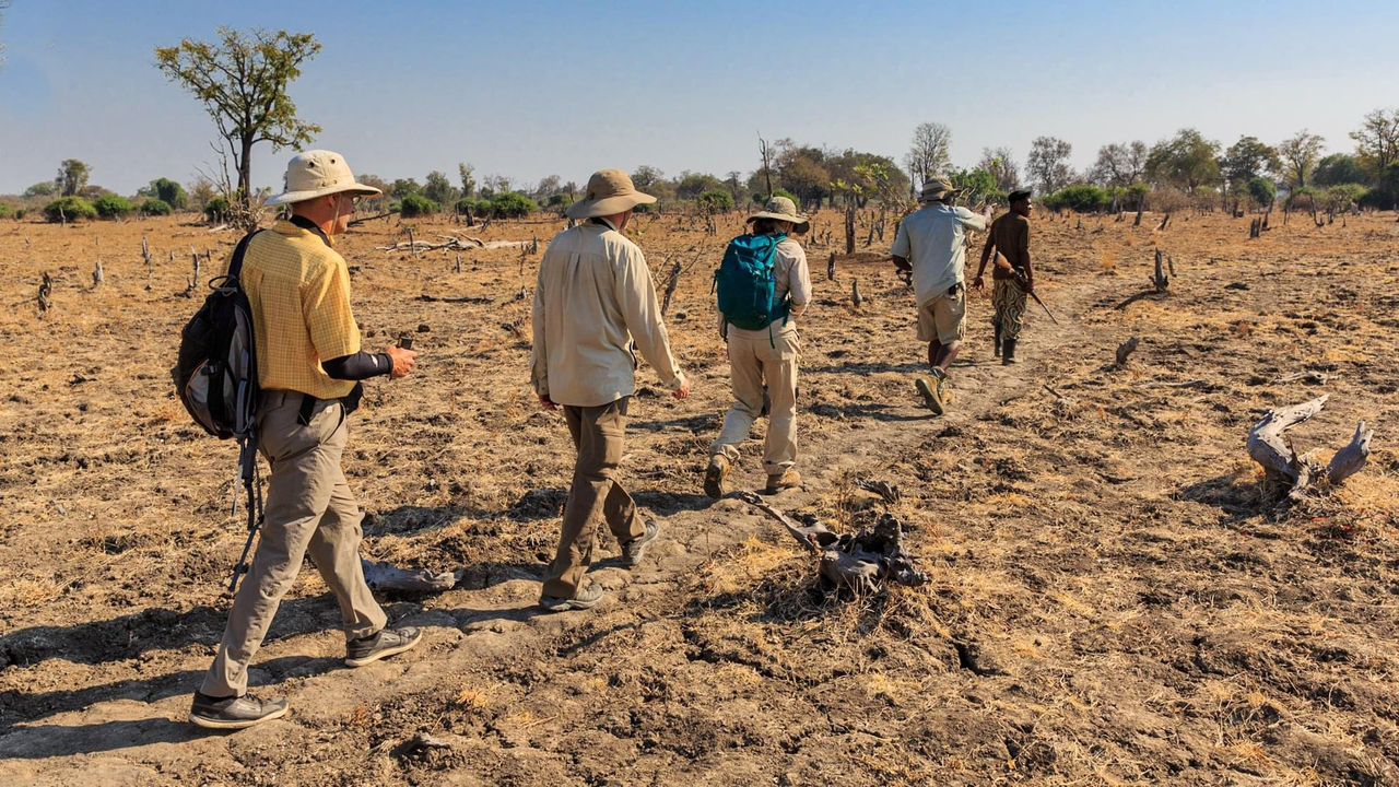 Walking safari