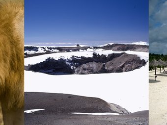 Tour package image