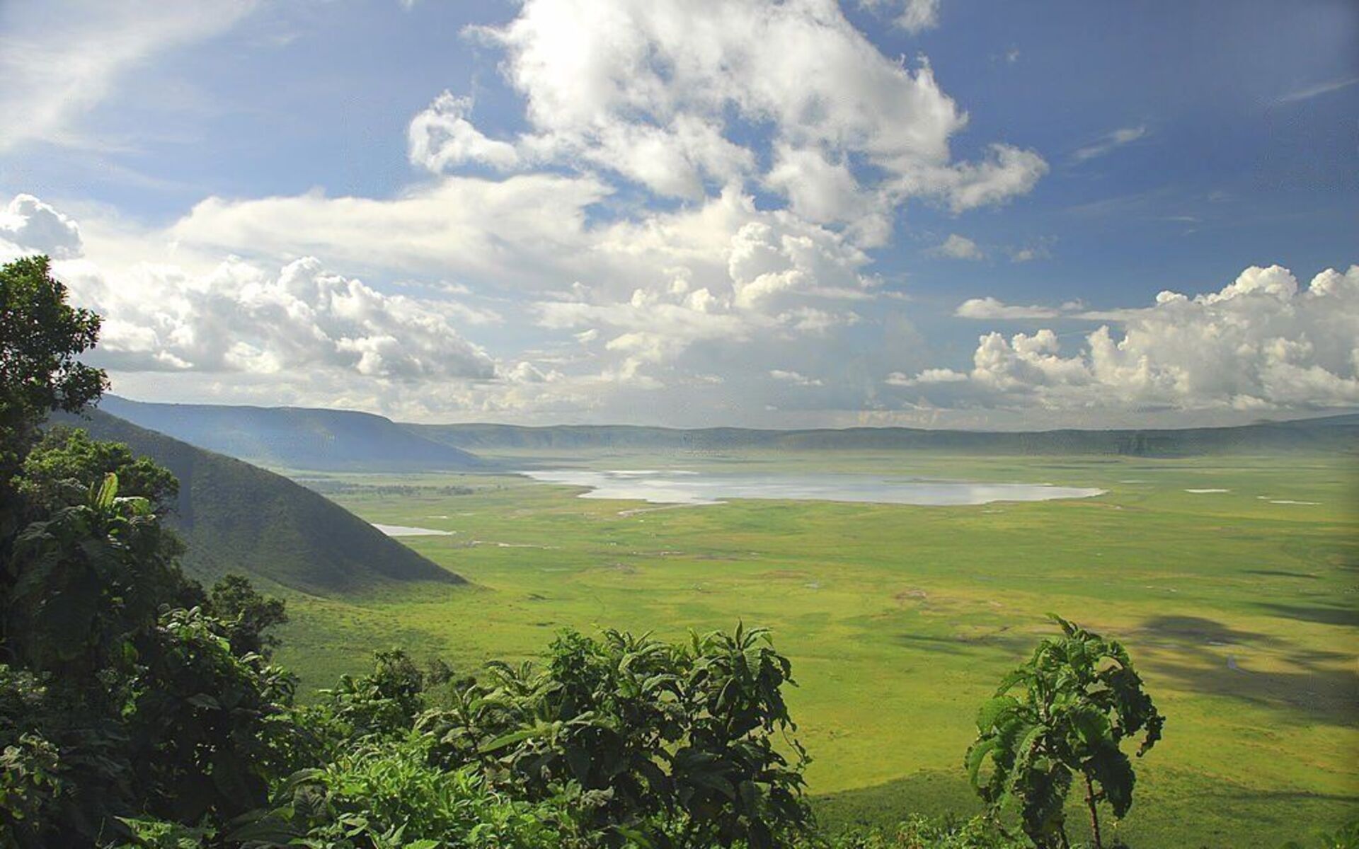 Ngorongoro Crater Day Trip
