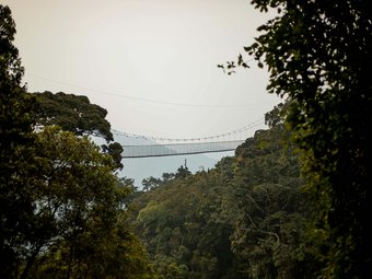 Tour package image