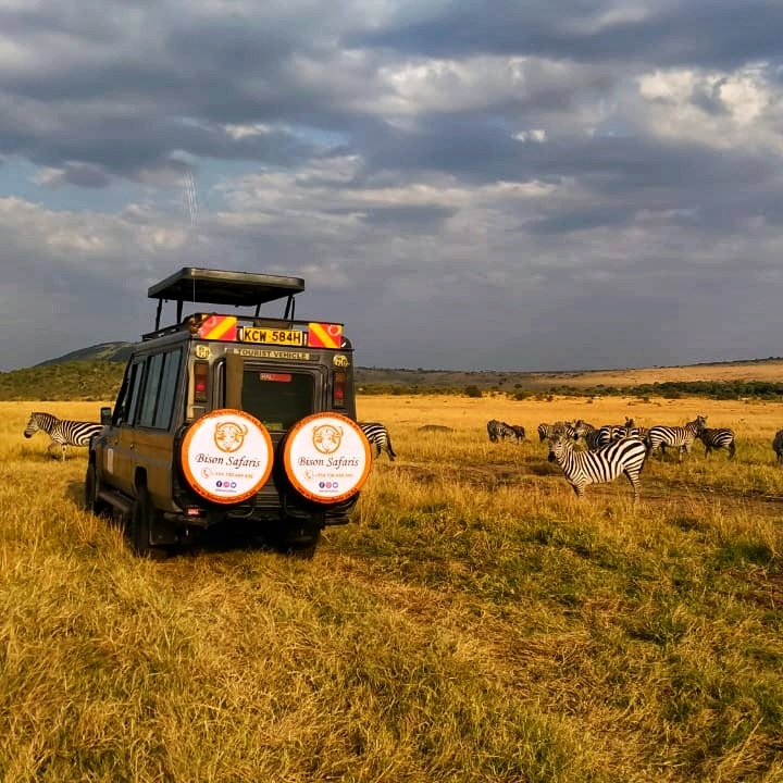 3 Days Maasai Mara Budget Shared Safari