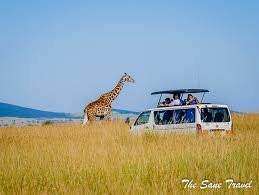 A Budget safari to the world famous Bird Sanctuary of Lake Nakuru, then the Maasai Mara Game Reserve