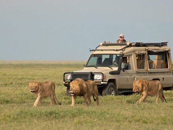 Tour package image