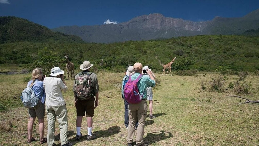  7-Day Safari Adventure with Safari Stride
