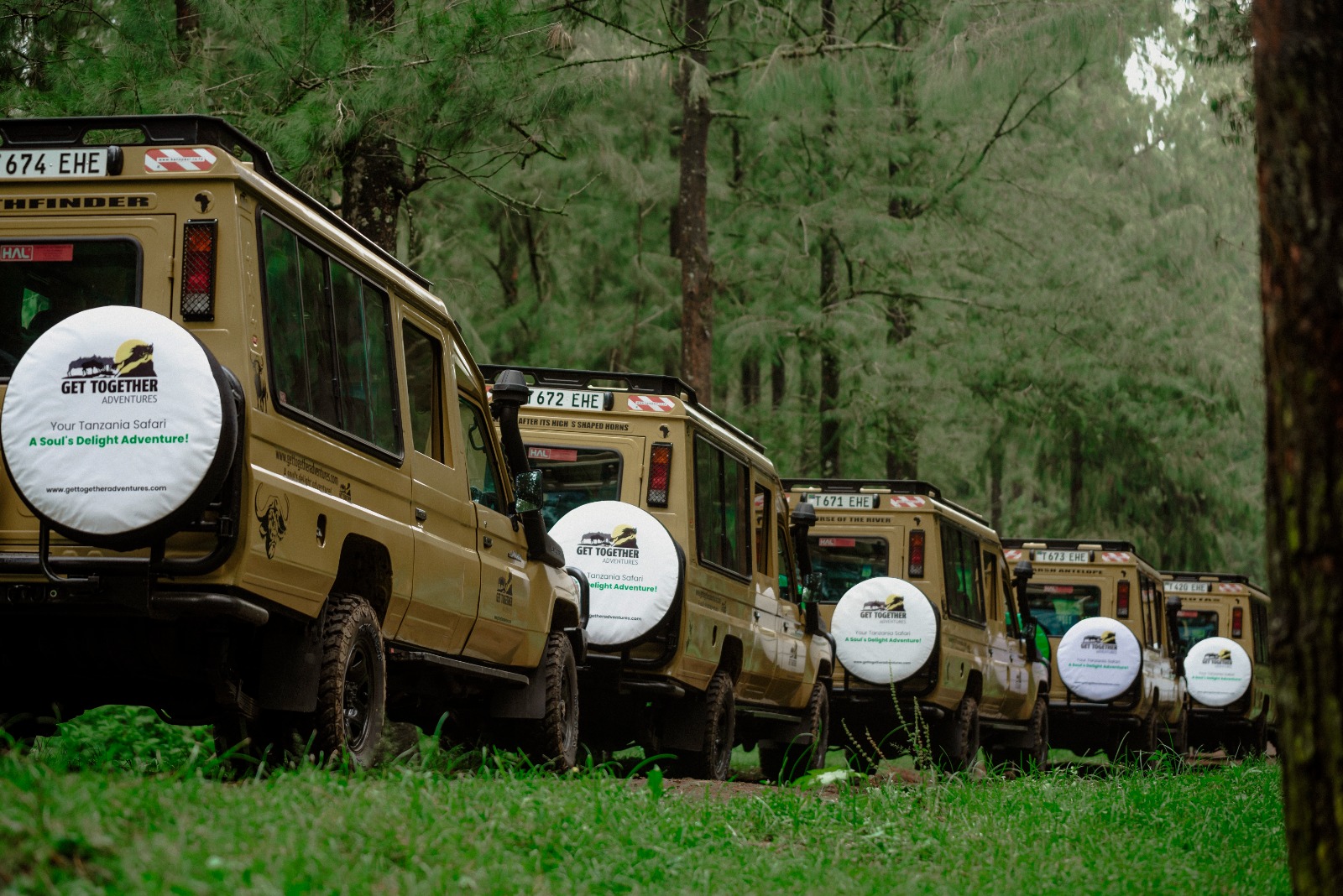 "Discover the best of Tanzania’s wilderness in ultimate comfort, exploring four iconic national parks on a luxury safari adventure."