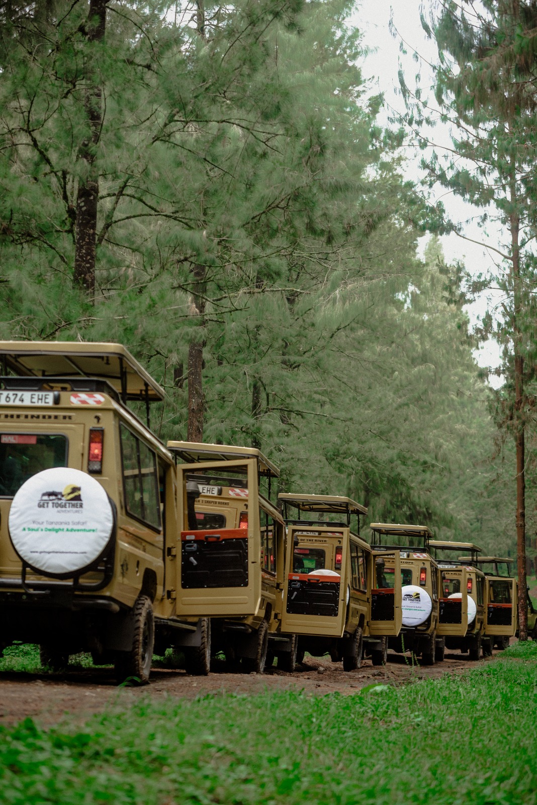 "Indulge in a luxurious safari experience across Tanzania’s most iconic parks, from the stunning Tarangire to the vast Serengeti and the breathtaking