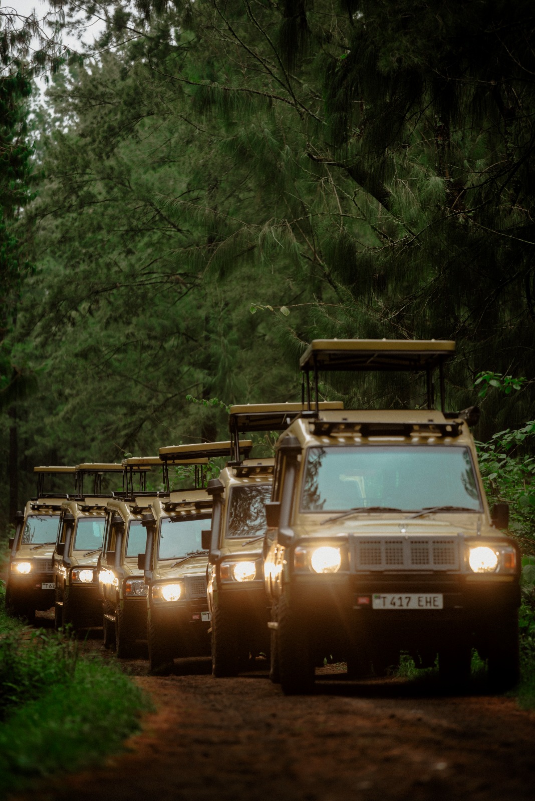 "Unveil the natural wonders of Tanzania, exploring its most extraordinary national parks, rich in wildlife and breathtaking landscapes."