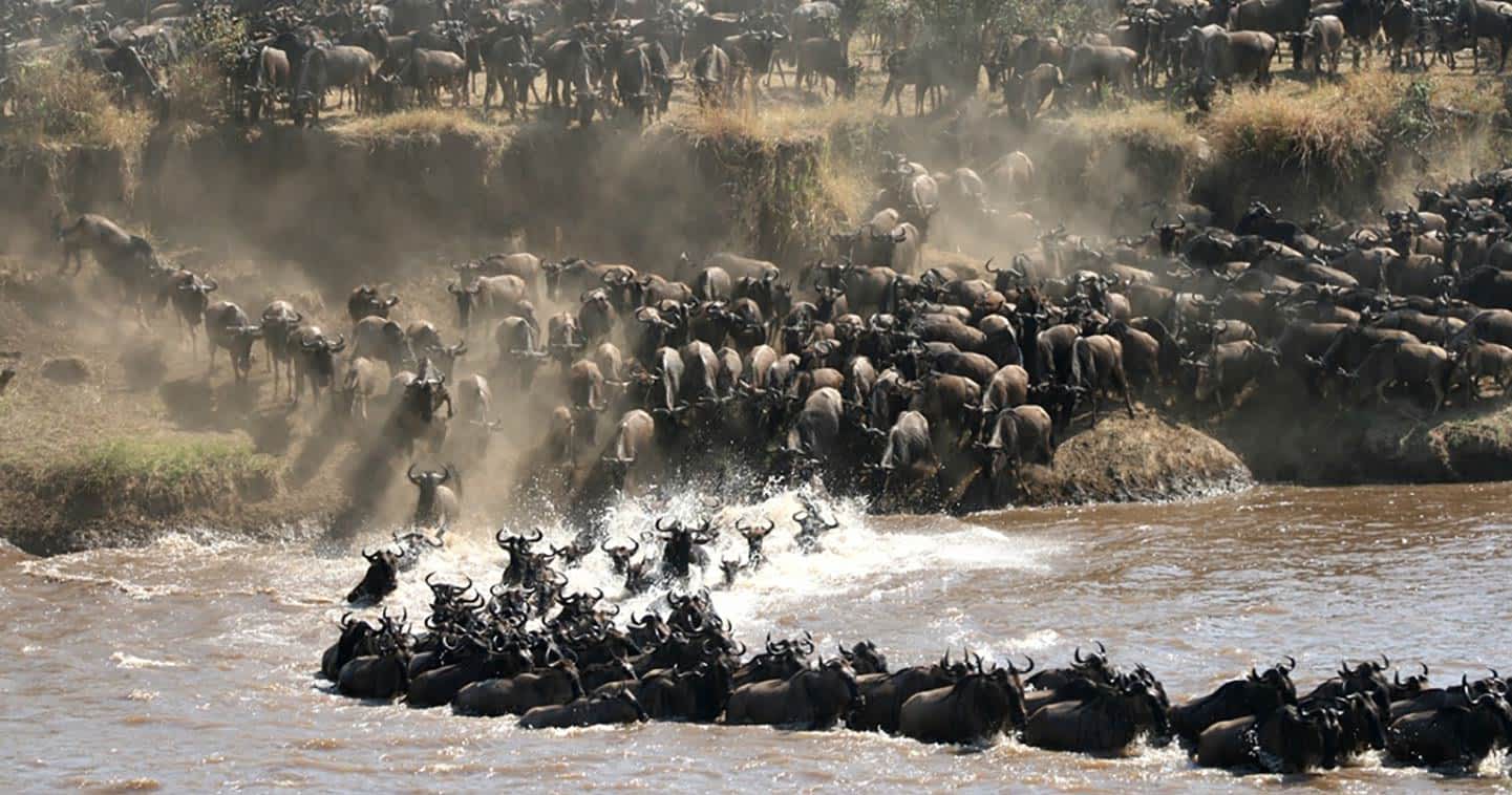 3-Day Mid Range Safari to Serengeti National Park