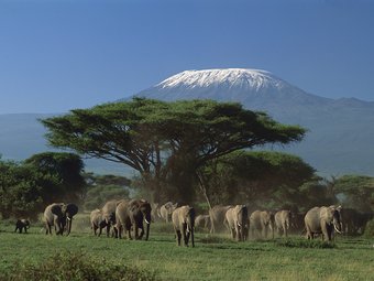 Tour package image
