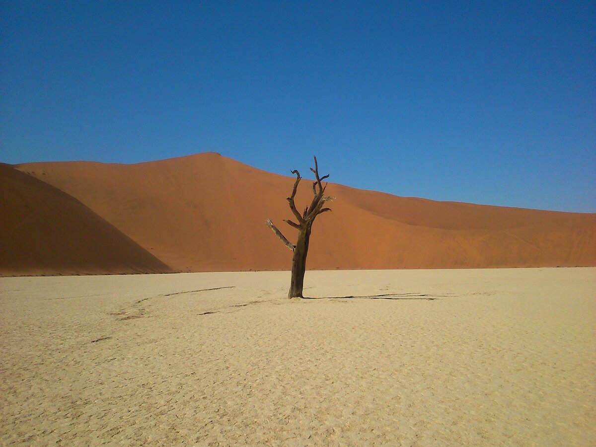 Cape Namibia Route - Windhoek to Cape Town