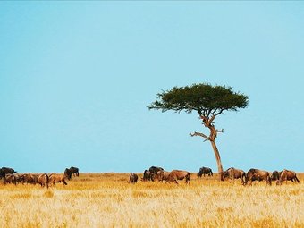 Tour package image