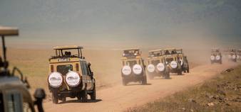 Where the Great Migration Meets the Cradle of Life