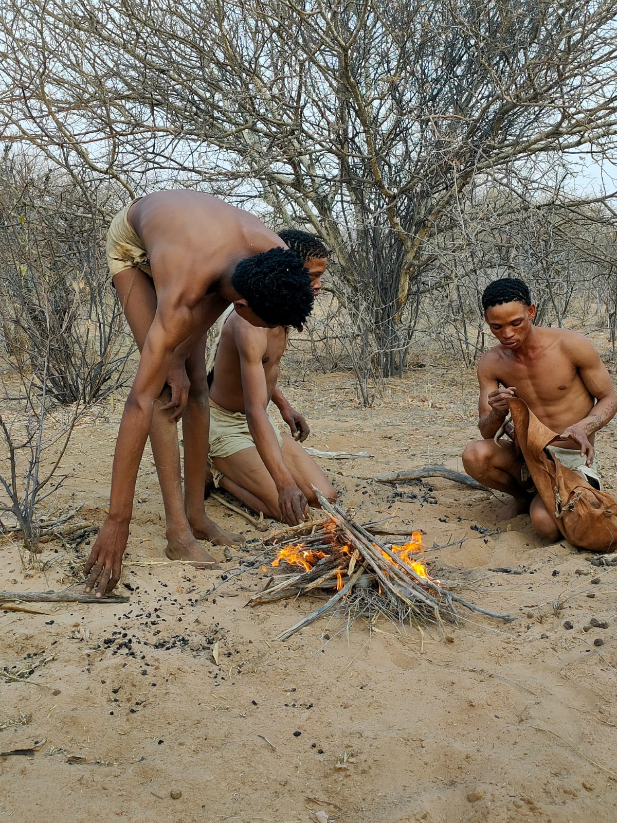 Discover the Soul of Botswana on the Bushman Trail Safari."