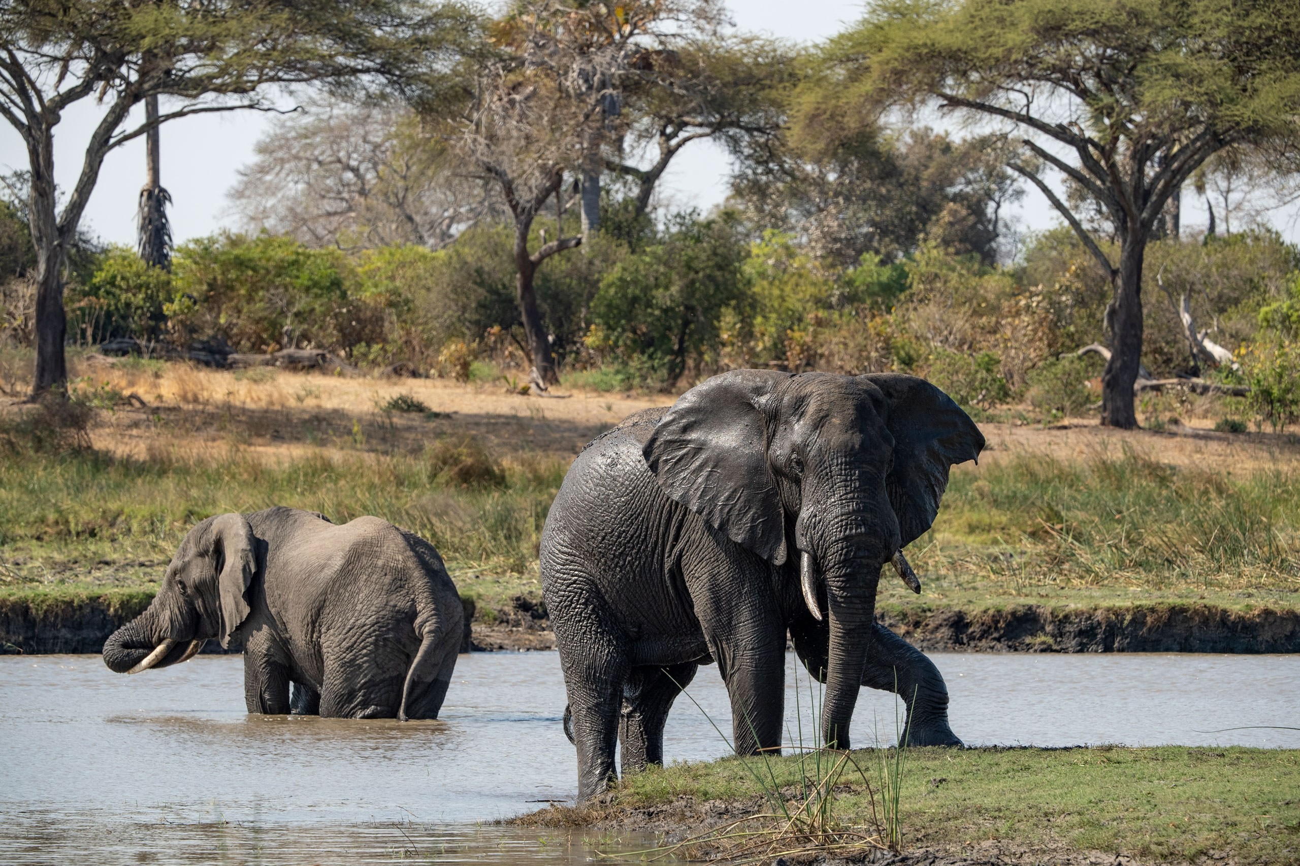 Ngorongoro Crater Safari from Karatu