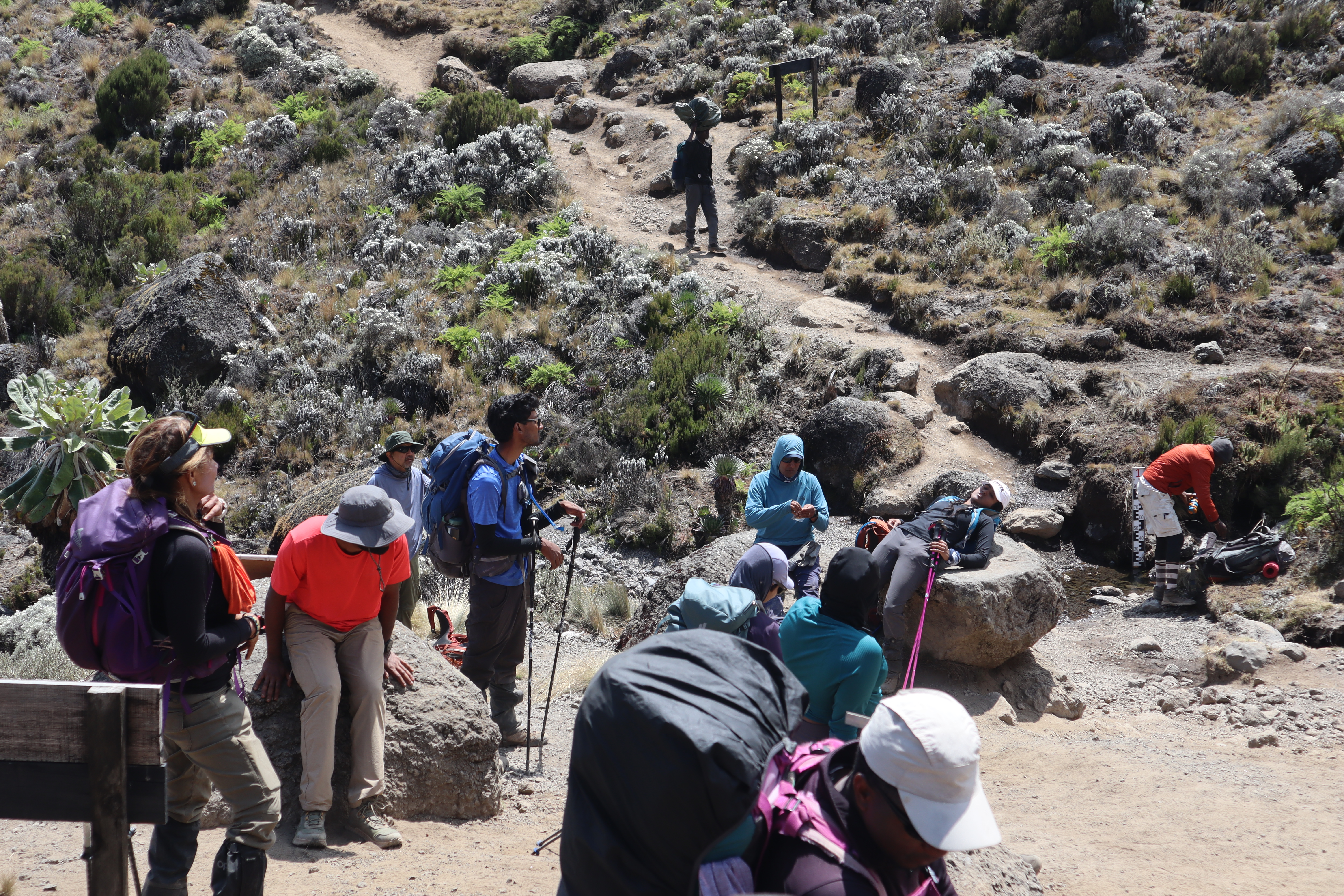 Trek the scenic 6-day Machame Route to Kilimanjaro’s summit while making a lasting impact through a meaningful community-focused charity experience.