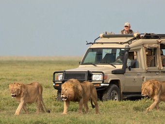 Tour package image