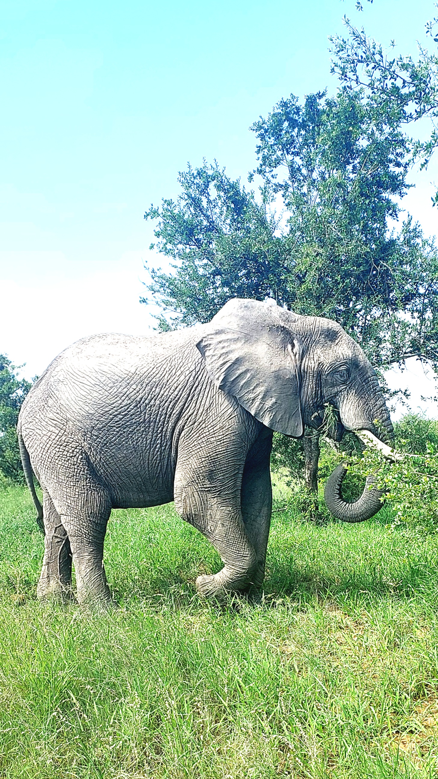 3 Day Classic Kruger Park Safari