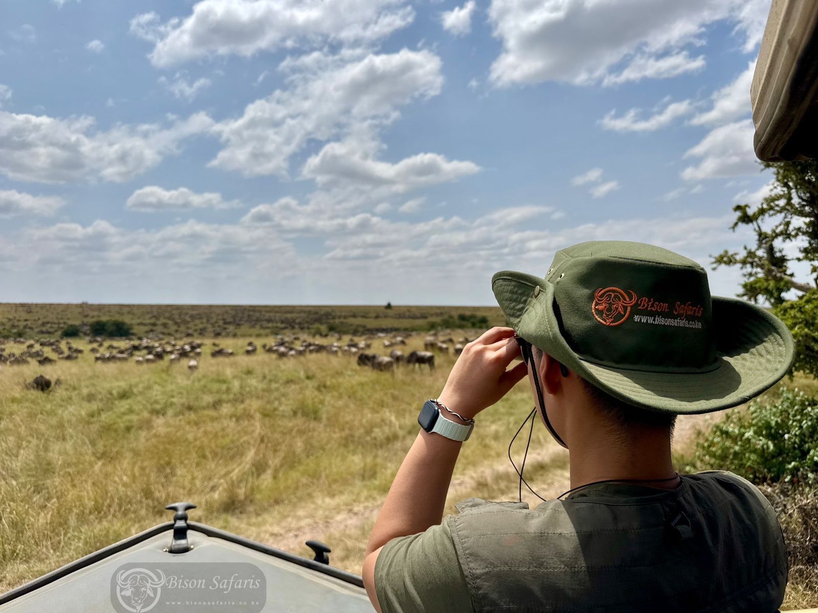  3 Days Masai Mara Superior Budget Shared land cruiser Safari