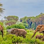 Samburu National Reserve,Mt. Kenya Natinal Park, Buffalo Springs, Maasai Mara National Reserve, Aberdare National Park, Ol Pejeta Conservancy