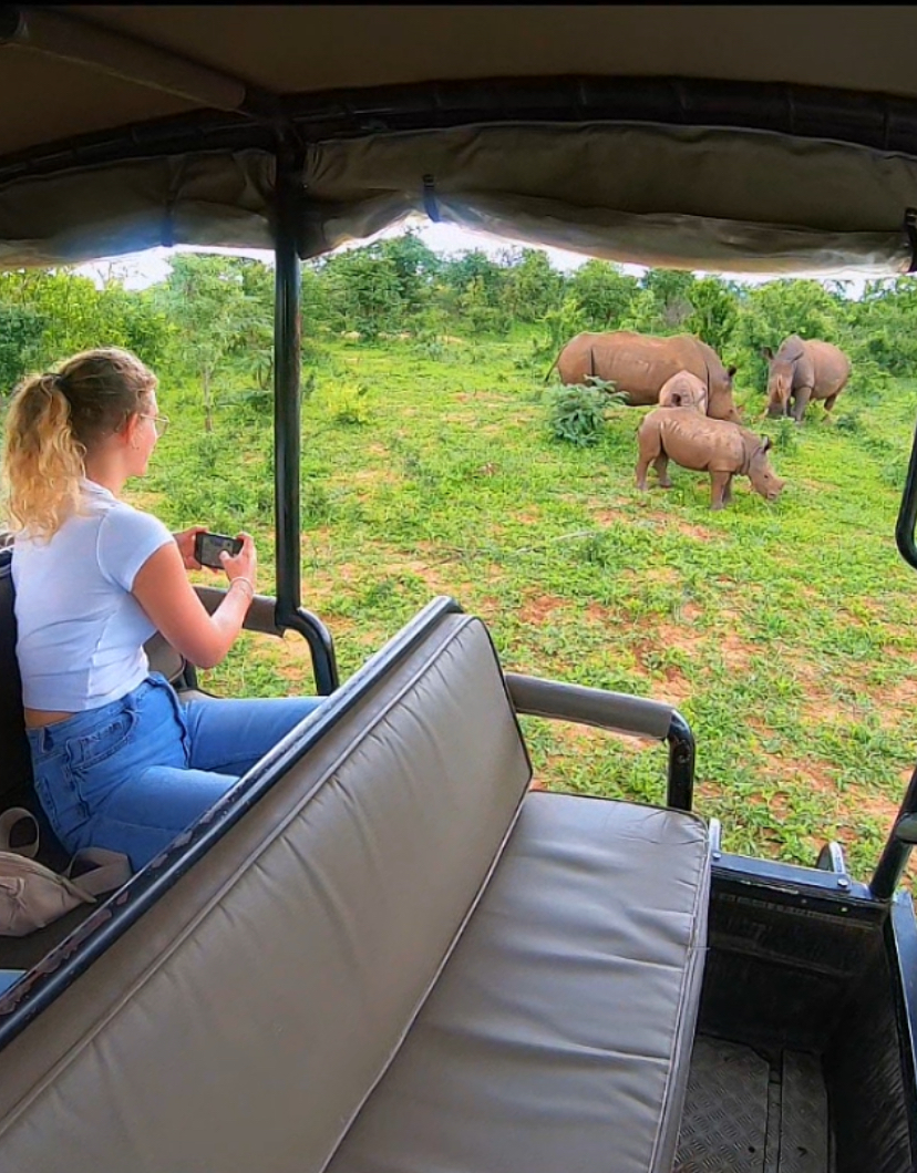 Adventure with the rhinos