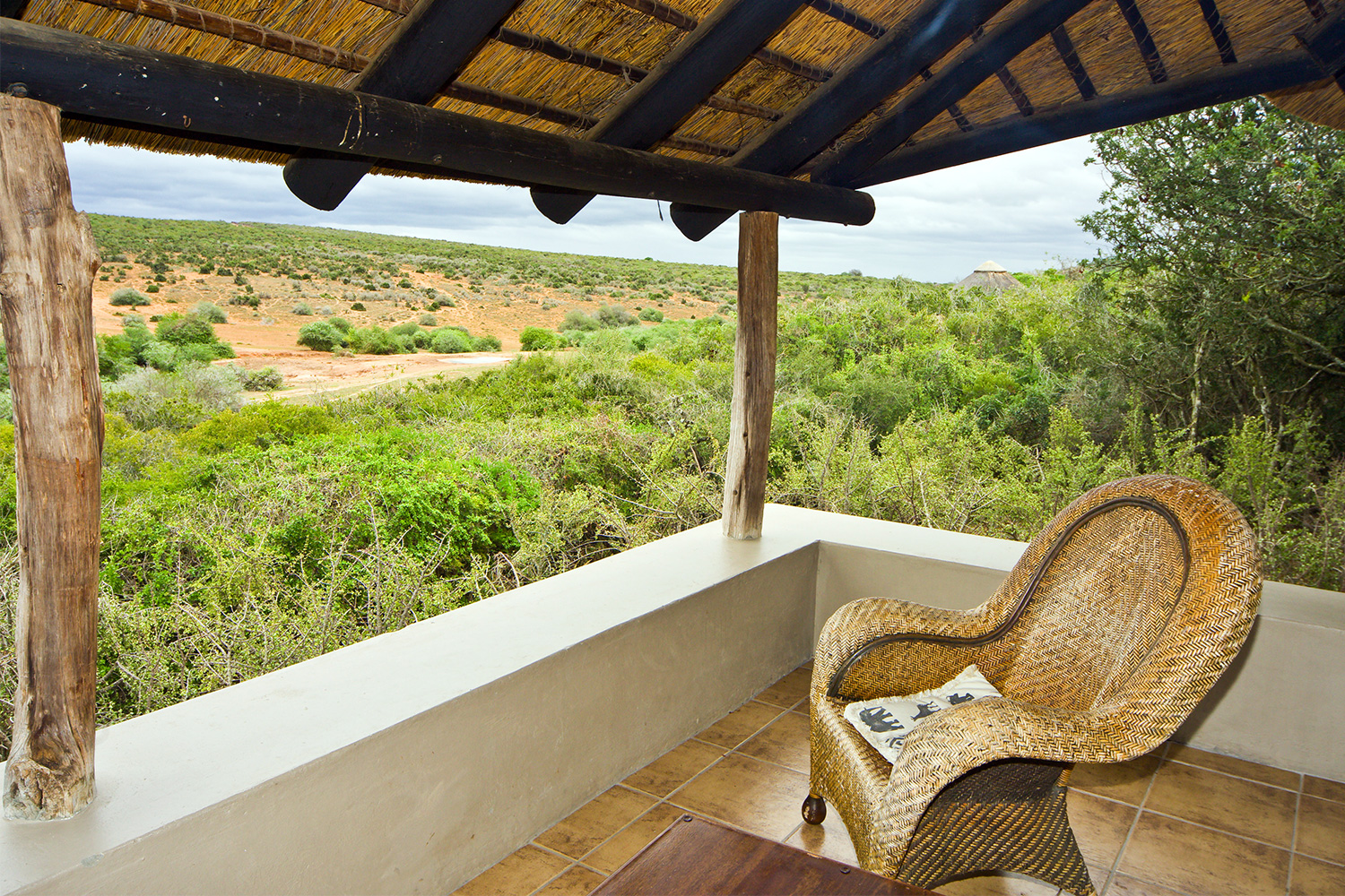 plus 2 nights in Amakhala Game Reserve
