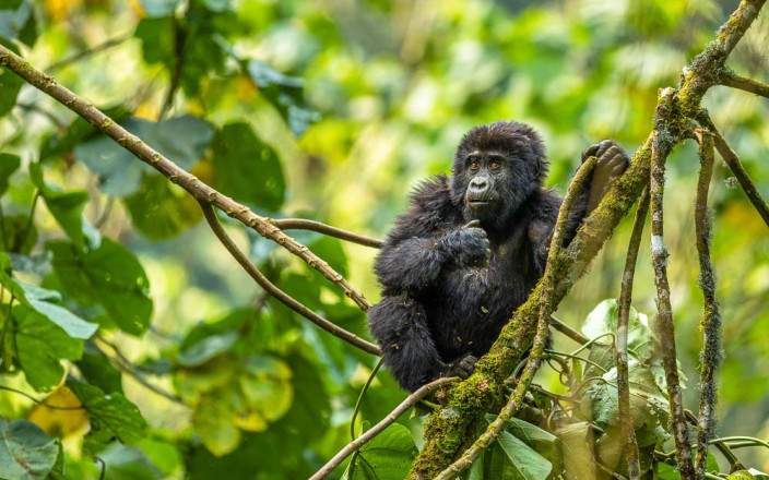 Have a taste of real beauty of nature