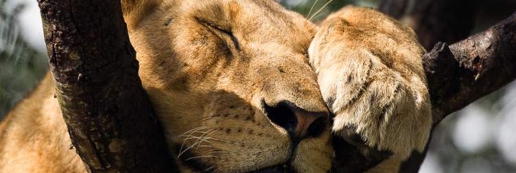 The best experience you can ever have