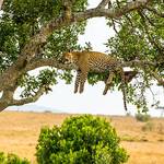 Ngorongoro Crater, Serengeti National Park- Northern and Southern, Olduvai Gorge