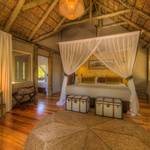 Botswana's Wild Tapestry