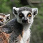 Experience Exceptional - World’s Most Biodiverse Destination