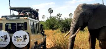 Classic Tanzania safari