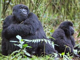 Tour package image