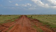 Tsavo National Park