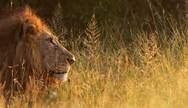 Kruger National Park