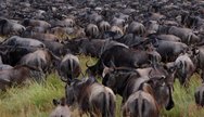 Serengeti National Park