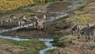 Tarangire National Park