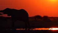 Nxai Pan National Park