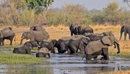 Mudumu National Park