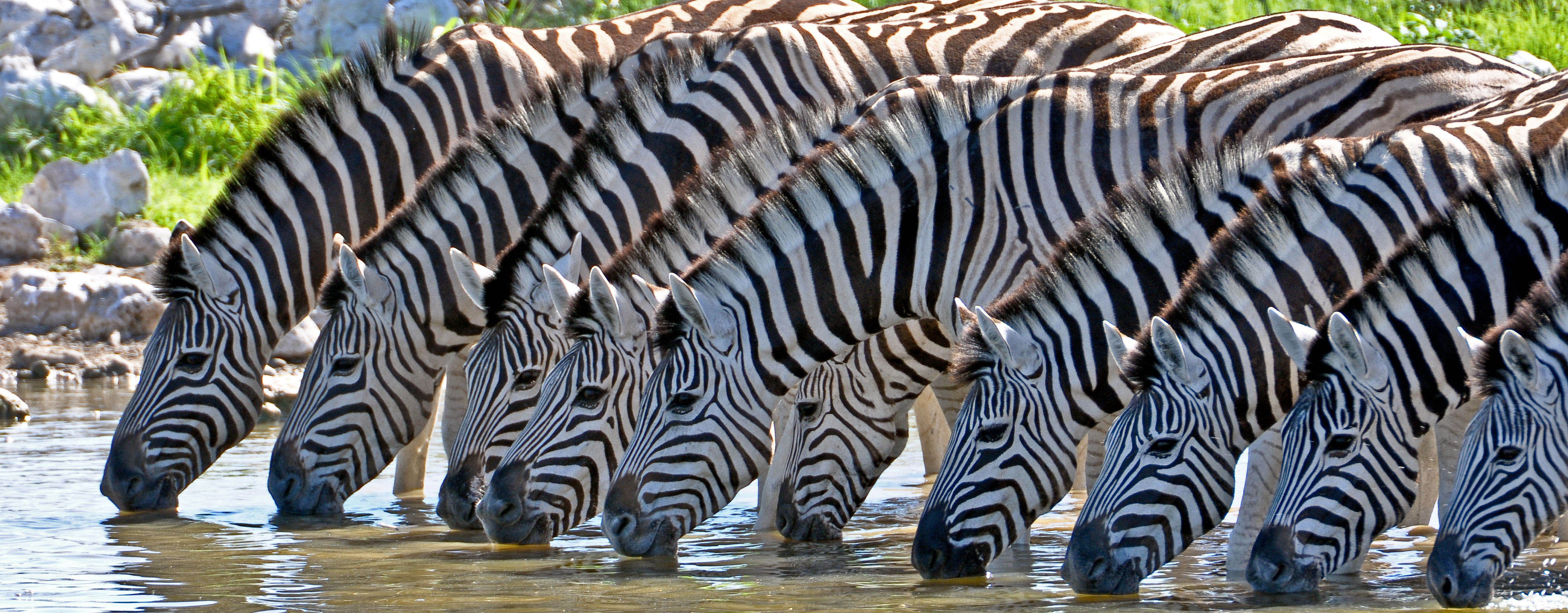 Limpopo National Park