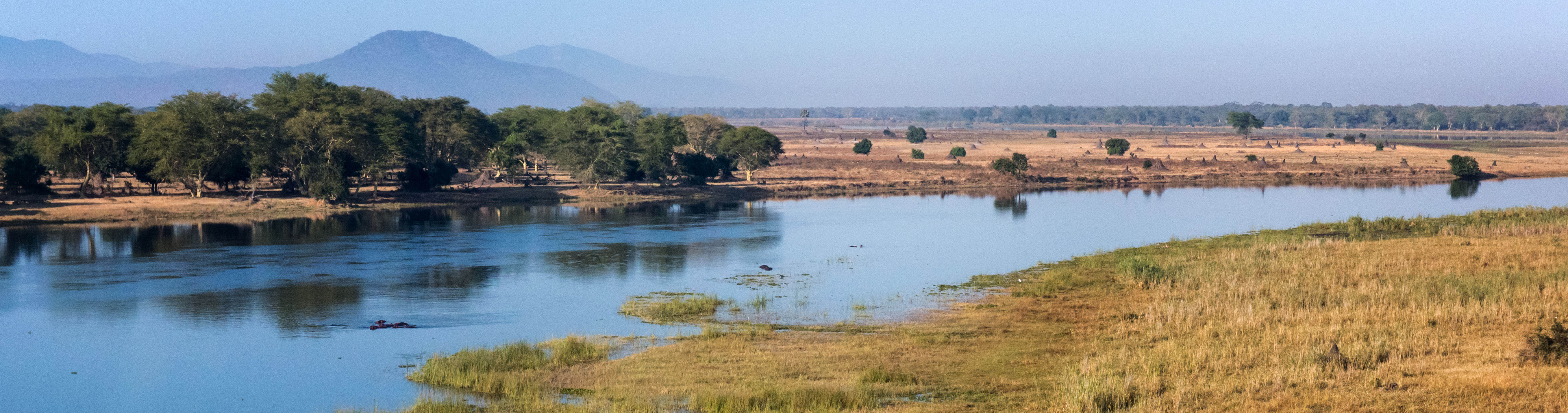 Liwonde National Park | Frank Weitzer