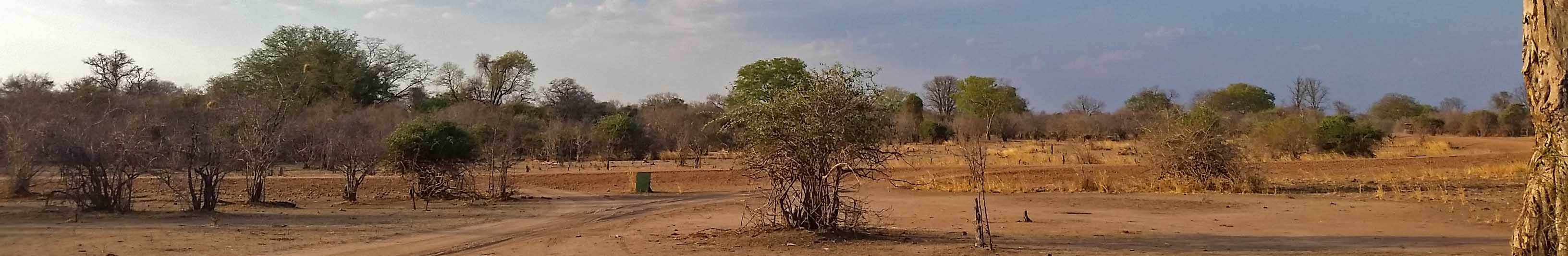 North Luangwa National Park