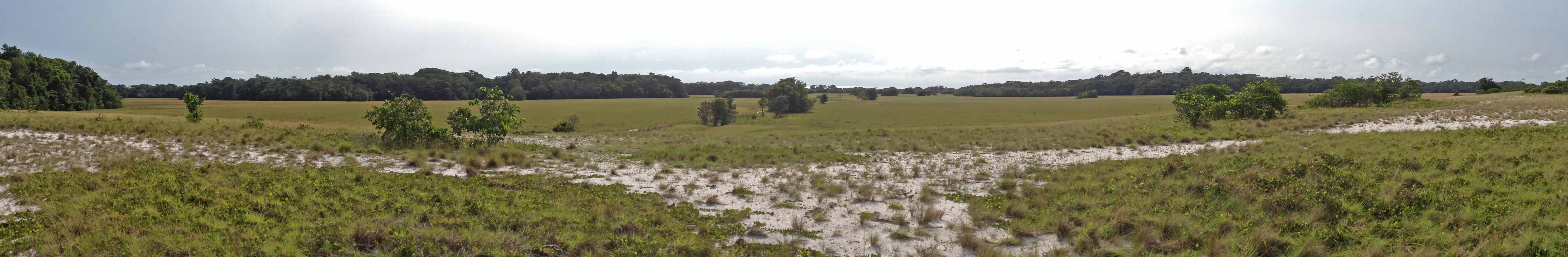 Aerial view Loango