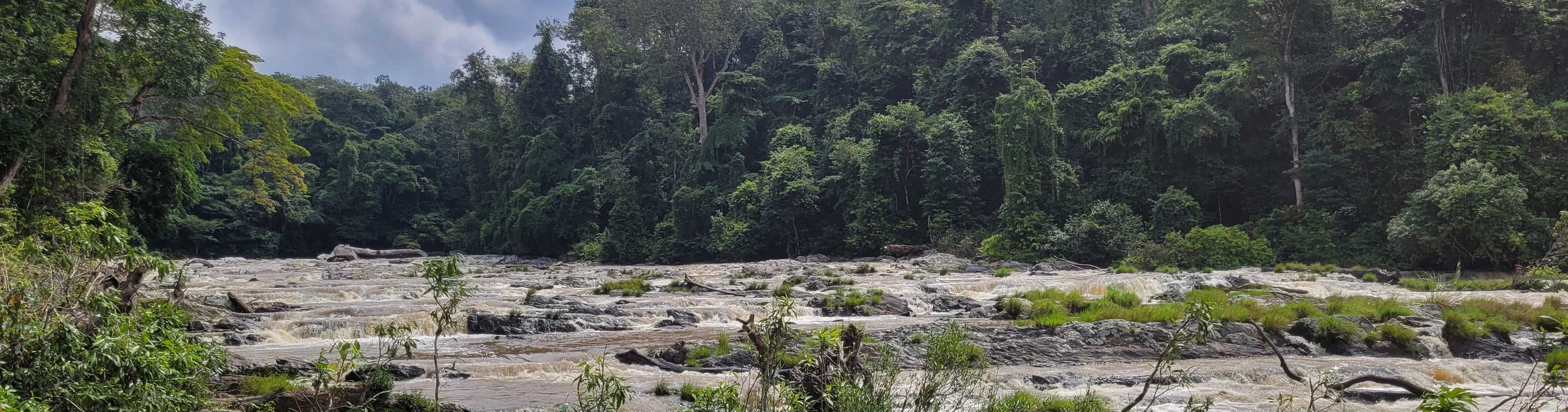 Moukalaba-Doudou National Park by Koussou Voyage