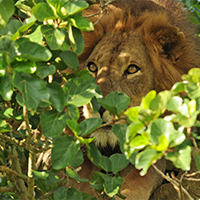 Lake Manyara