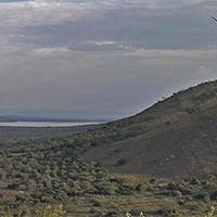 Lake Mburo