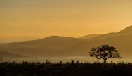 Sunrise in Hluhluwe Umfolozi Game Reserve, South Africa