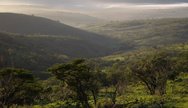 Rolling hills in Hluhluwe Umfolozi Game Reserve, South Africa