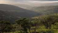 Rolling hills in Hluhluwe Umfolozi Game Reserve, South Africa