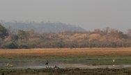 Birding at Machaniwa Pan, Gonarezhou National Park, Zimbabwe