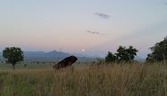 Full moon over Kidepo Valley National Park, Uganda